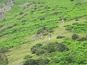 Kids_CMValley_2012 (18) 